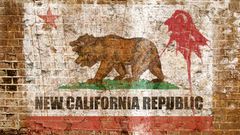 Video games fallout new