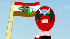 Video games Flags Strong