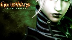 Video games guild wars