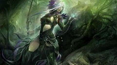 Video games guild wars
