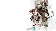 Video games guild wars