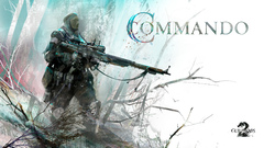 Video games guild wars