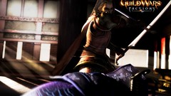 Video games guild wars