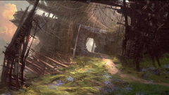 Video Games guild wars