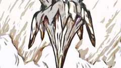 Video Games mother Earthbound