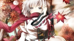 Video games nature touhou