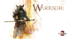 video games PC gaming sword warrior armour guild wars 2