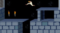 Video games prince of