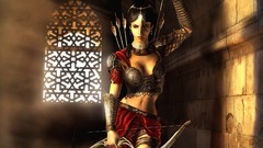 Video games prince of