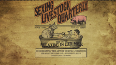 Video games red dead