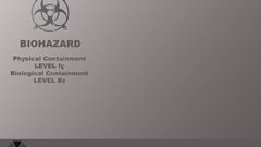 Video games Resident Evil