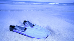 Video Games Sea nature