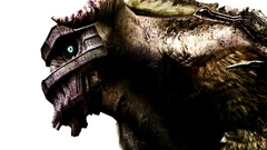 Video games Shadow of