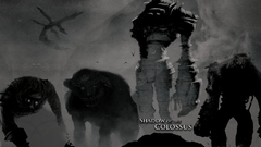 Video games Shadow of