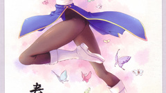 Video games street fighter