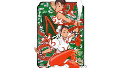 Video games street fighter