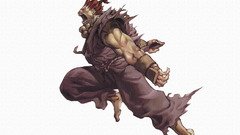 Video games street fighter