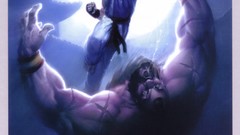 Video games street fighter