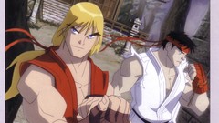 Video games street fighter