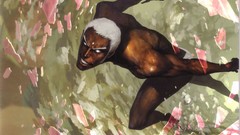 Video games street fighter