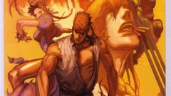 Video games street fighter