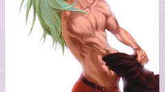 Video games street fighter