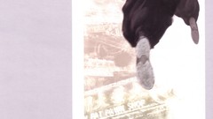 Video games street fighter