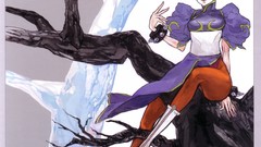 Video games street fighter