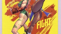 Video games street fighter