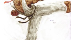 Video games street fighter