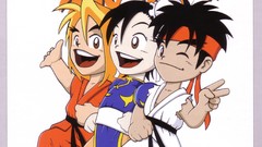 Video games street fighter