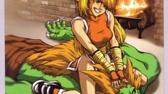 Video games street fighter