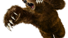 Video games Tekken Bears