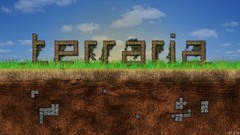 Video games terraria pc