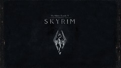 Video games the elder