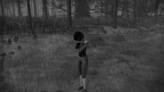 Video Games The path