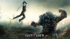 Video games the witcher