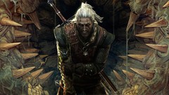 Video games the witcher