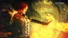 Video games the witcher