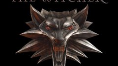 Video Games The witcher