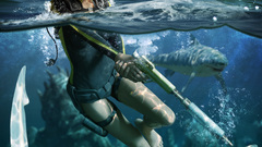 Video games tomb raider