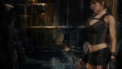 Video games tomb raider