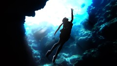 Video games tomb raider