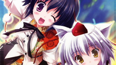 Video games touhou animal