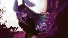 Video games touhou animal