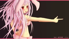 Video games touhou animal