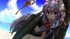 Video games touhou animal