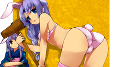 Video games touhou animal