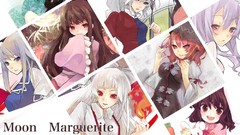 Video games touhou animal