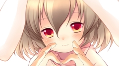 Video Games touhou animal